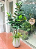Cây Bàng Giả Decor- Cây Bàng Giả Thiết Kế Lan Decor, Trang Trí Không Gian Xanh Hiện Đại (170cm)- CC1147