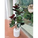 Cây Bàng Giả- Cây Bàng Lá Đỏ Giả Thiết Kế Không Gian Độc Đáo (140cm)- CC1149