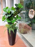 Cây Bàng Giả- Cây Bàng Trang Trí Nhà, Văn Phòng, Cửa Hiệu Đẹp Tự Nhiên (120cm)- CC1136