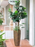 Cây Bàng Giả Decor- Cây Bàng Giả Thiết Kế Lan Decor, Trang Trí Không Gian Xanh Hiện Đại (170cm)- CC1147