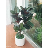 Cây Bàng Giả Trang Trí- Cây Bàng Lá Đỏ Trang Trí Tiểu Cảnh Văn Phòng (115cm)- CC1150