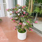 Cành Lá Giả, Cành Hoa Đỗ Quyên Đẹp Tự Nhiên (50cm) -HC1117