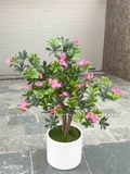 Cây hoa Đỗ Quyên dáng bonsai trang trí LanDecor (100cm) - CC550