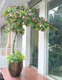 Cây Giả Tiểu Cảnh - Cây Đỗ Quyên Dáng Huyền Trưng Bày Cửa Hiệu, Quán Cafe Độc Đáo (220cm)- CC1135
