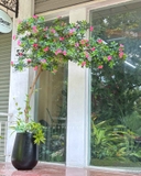 Cây Giả Tiểu Cảnh - Cây Đỗ Quyên Dáng Huyền Trưng Bày Cửa Hiệu, Quán Cafe Độc Đáo (220cm)- CC1135