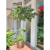Cây Hoa Thiết Kế- Cây Đỗ Quyên Giả Thiết Kế Tiểu Cảnh Căn Hộ Đẹp Tự Nhiên (2m)- CC1174