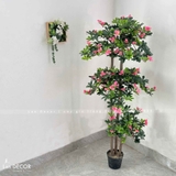 Cây Đỗ Quyên Trang Trí Nội Thất (160cm)- CC986
