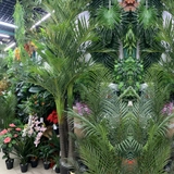 Chậu cây dừa trang trí tiểu cảnh (300cm) - LC3004 mix