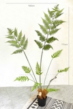 Dương Xỉ Giả- Dương Xỉ Culi Trang Trí Bồn Tiểu Cảnh Xanh Tự Nhiên (170cm)- CC1062