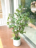 Cây Giả Trang Trí- Cây Asebi Thiết Kế Cửa Hiệu Xanh Mát (130cm)- CC1056
