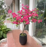 Cây Giả Decor- Cây Hoa Giấy Giả Thân Gỗ Tự Nhiên Trang Trí Cửa Hiệu (145cm)- CC1091