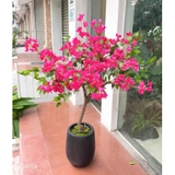 Cây Giả Decor- Cây Hoa Giấy Giả Thân Gỗ Tự Nhiên Trang Trí Cửa Hiệu (145cm)- CC1091