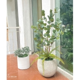 Cây Giả- Cây Kim Tiền Giả Decor Nội Thất (115cm)- CC1138