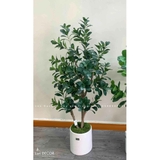 Chậu Cây Lá Chanh Trang Trí Không Gian Xanh Mát (140cm)- CC965