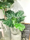 Cây Giả Decor - Cây Monstera Trang Trí Nhà Đẹp Landecor (85cm) - LC3057