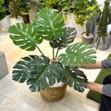 Cây Giả Decor - Cây Monstera Trang Trí Nhà Đẹp Landecor (85cm) - LC3057