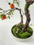 Chậu lựu Bonsai cây cảnh trang trí nội thất (65cm) - CC083