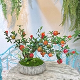Lựu Giả Trang Trí- Cây Lựu Bonsai Để Bàn Phòng Khách (45cm)- CC1004