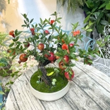 Chậu lựu bonsai để bàn trang trí Landecor -CC386-1