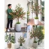 Lựu Giả Trang Trí- Mẫu Chậu Cây Lựu Giả Cao 170cm Trang Trí Nhà Đẹp