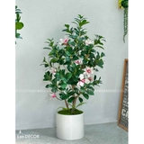 Cây Hoa Mộc Lan Thiết Kế Không Gian Ấn Tượng (140cm)- CC990