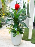Cây Giả Decor- Cây Phát Lộc Hoa Đỏ Trang Trí Không Gian Sống Động (cao 120cm, tán 65cm)- CC1132