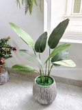 Cây chuối rẻ quạt trang trí phong cách hiện đại 1m2 (gồm 8 lá) - LC3018