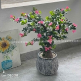 Cây hoa đỗ quyên trang trí phòng khách đẹp (80cm) - CC983