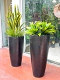 Tiểu Cảnh Cây Giả- Chậu Cây Lô Hội Giả Thiết Kế Cửa Hiệu (cao 70-105cm, tán 60cm)- CC1130