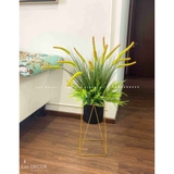 Kệ Cỏ Đuôi Chồn Trang Trí Phòng Khách Nổi Bật- CC941