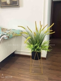 Kệ Cỏ Đuôi Chồn Trang Trí Phòng Khách Nổi Bật- CC941
