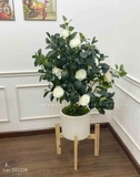 Cây hoa trà trắng decor không gian- CC963