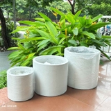 Chậu Xi Măng Trắng Trồng Cây Cảnh Giả Trang Trí - CXM038