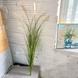 Cỏ Lau Giả- Cành Cỏ Lau Giả Thiết Kế Lan Decor, Trang Trí Kệ Cây, Tiểu Cảnh Lau Giả Quán Cafe Độc Đáo - CC1087