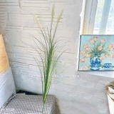 Cỏ Lau Giả- Cành Cỏ Lau Giả Không Lông Thiết Kệ Ụ Rêu Tiểu Cảnh, Decor Kệ Cây- CC1088