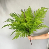 Cành Lá Giả Decor - Cụm Dương Xỉ Giả Decor Không Gian Xanh (60cm)- HC1267