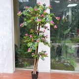 Cây hoa Đỗ Quyên cây cảnh trang trí 165 cm - LC2450