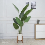 Cây chuối rẻ quạt đẹp hiện đại trang trí 1m8 - LC3019 (Gồm 12 lá)