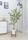 CÂY BẠCH ĐÀN GIẢ TRANG TRÍ NHÀ (130cm) - LC3050