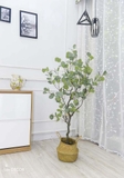 CÂY BẠCH ĐÀN GIẢ TRANG TRÍ NHÀ (130cm) - LC3050