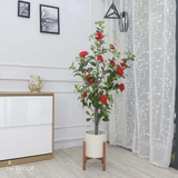 CÂY TRÀ ĐỎ 1M40 TRANG TRÍ ĐẸP LAN DECOR - LC3011