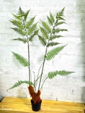 Dương Xỉ Giả- Dương Xỉ Culi Tiểu Cảnh Cây Giả Decor Quán Cafe (140cm)- CC1121