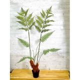 Dương Xỉ Giả- Dương Xỉ Culi Tiểu Cảnh Cây Giả Decor Quán Cafe (140cm)- CC1121