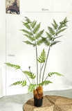 Dương Xỉ Decor- Dương Xỉ Culi Decor Không Gian Ấn Tượng (130cm)- CC1061