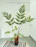 Dương Xỉ Giả Trang Trí- Thiết Kế Tiểu Cảnh Dương Xỉ Culi Trang Trí Văn Phòng Xanh (180cm)- CC1063