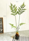 Dương Xỉ Giả- Dương Xỉ Culi Tiểu Cảnh Cây Giả Tự Nhiên (150cm)- CC1065
