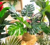 Cây Giả Decor - Cây Monstera Trang Trí Nhà Đẹp Landecor (85cm) - LC3057