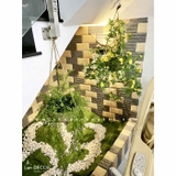 FEEDBACH HOA DÃ QUỲ RỰC RỠ TRONG KHÔNG GIAN CỦA KHÁCH HÀNG