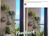 FEEDBACH HOA DÃ QUỲ RỰC RỠ TRONG KHÔNG GIAN CỦA KHÁCH HÀNG