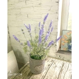 Giỏ hoa oải hương decor nhà xinh- CC964